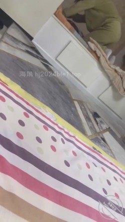 预览图3
