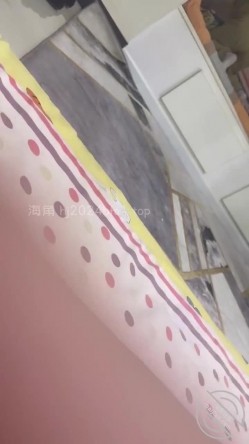 预览图12