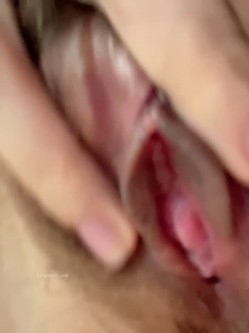 预览图4