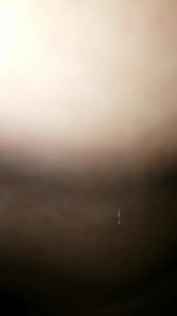 预览图6