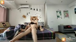 预览图11