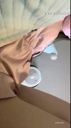 预览图6