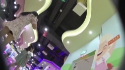 预览图3
