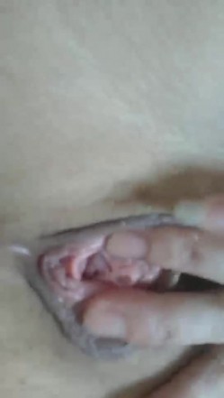 预览图8