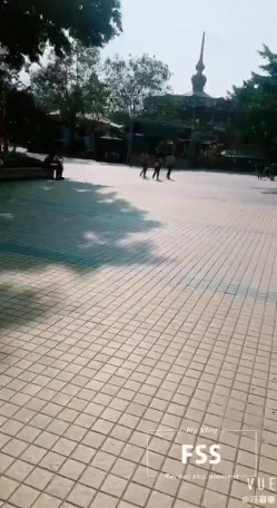 预览图4