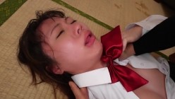 预览图4