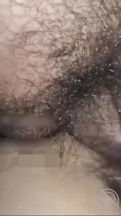 预览图4