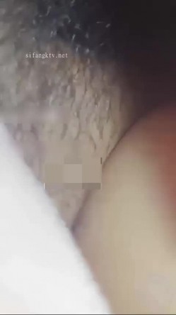 预览图13