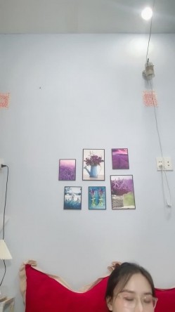 预览图6