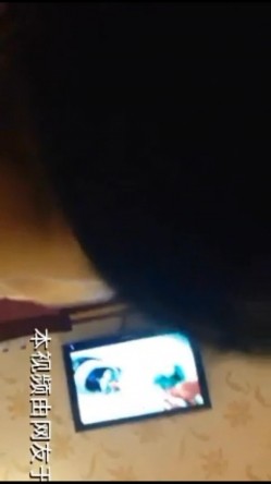 预览图4
