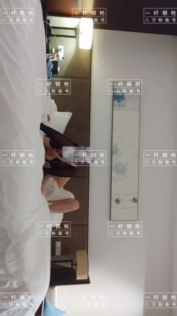 预览图2
