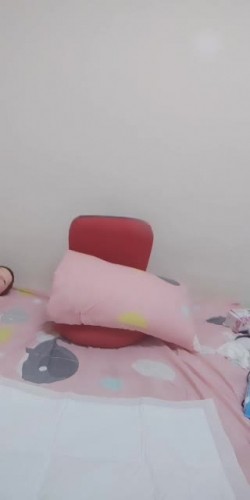 预览图15