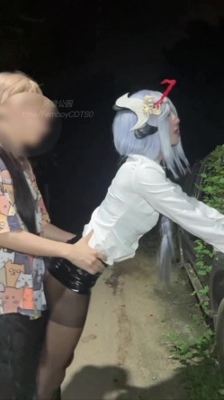 预览图13