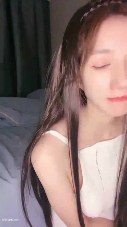 预览图4
