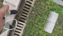 预览图16