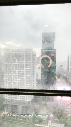 预览图12