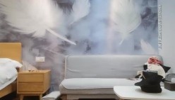 预览图7