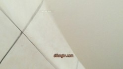预览图15