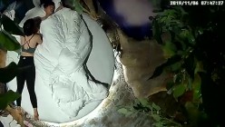 预览图13