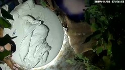 预览图15