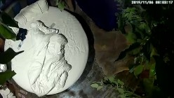 预览图16
