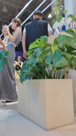 预览图14