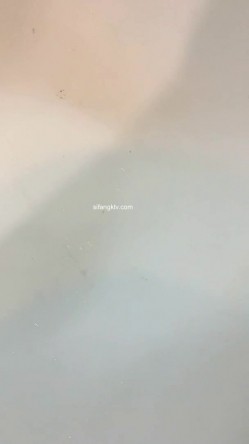 预览图7