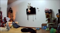 预览图1