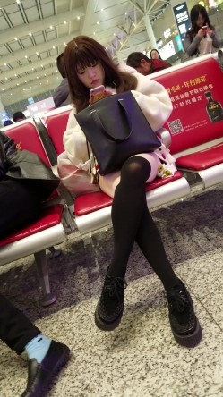 预览图8