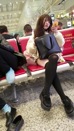 预览图16