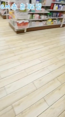 预览图3