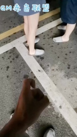 预览图15