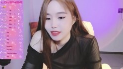 预览图13