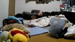预览图1