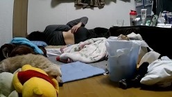 预览图2