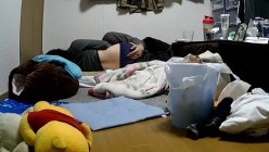 预览图3