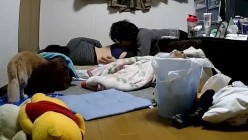 预览图4
