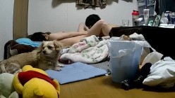 预览图13