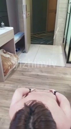 预览图7