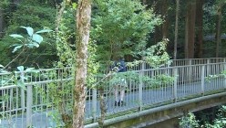 预览图16