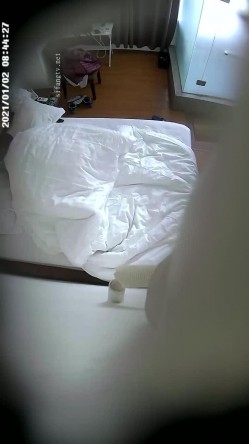 预览图4
