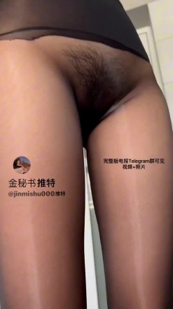 预览图4