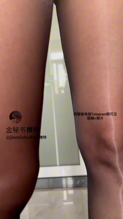 预览图6