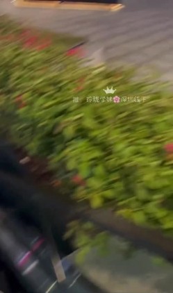 预览图11