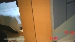 预览图4