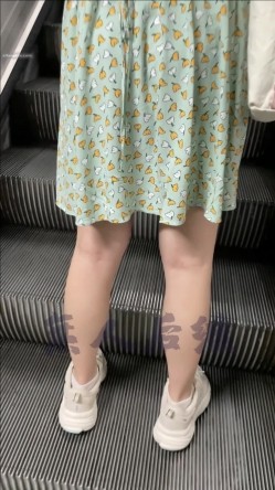 预览图4