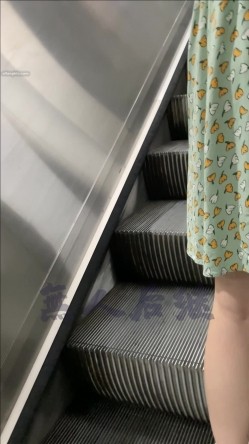 预览图6