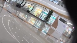 预览图4