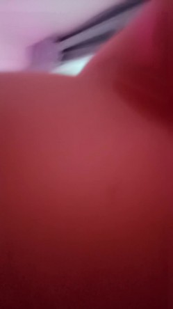 预览图4