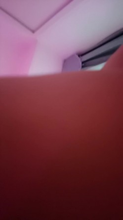 预览图6